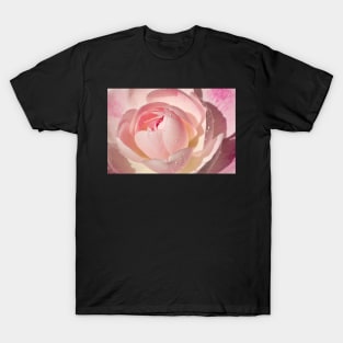 Pink Rose Greeting Card T-Shirt